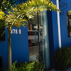 Hotel Boutique Casa Flor De Mayo Mérida