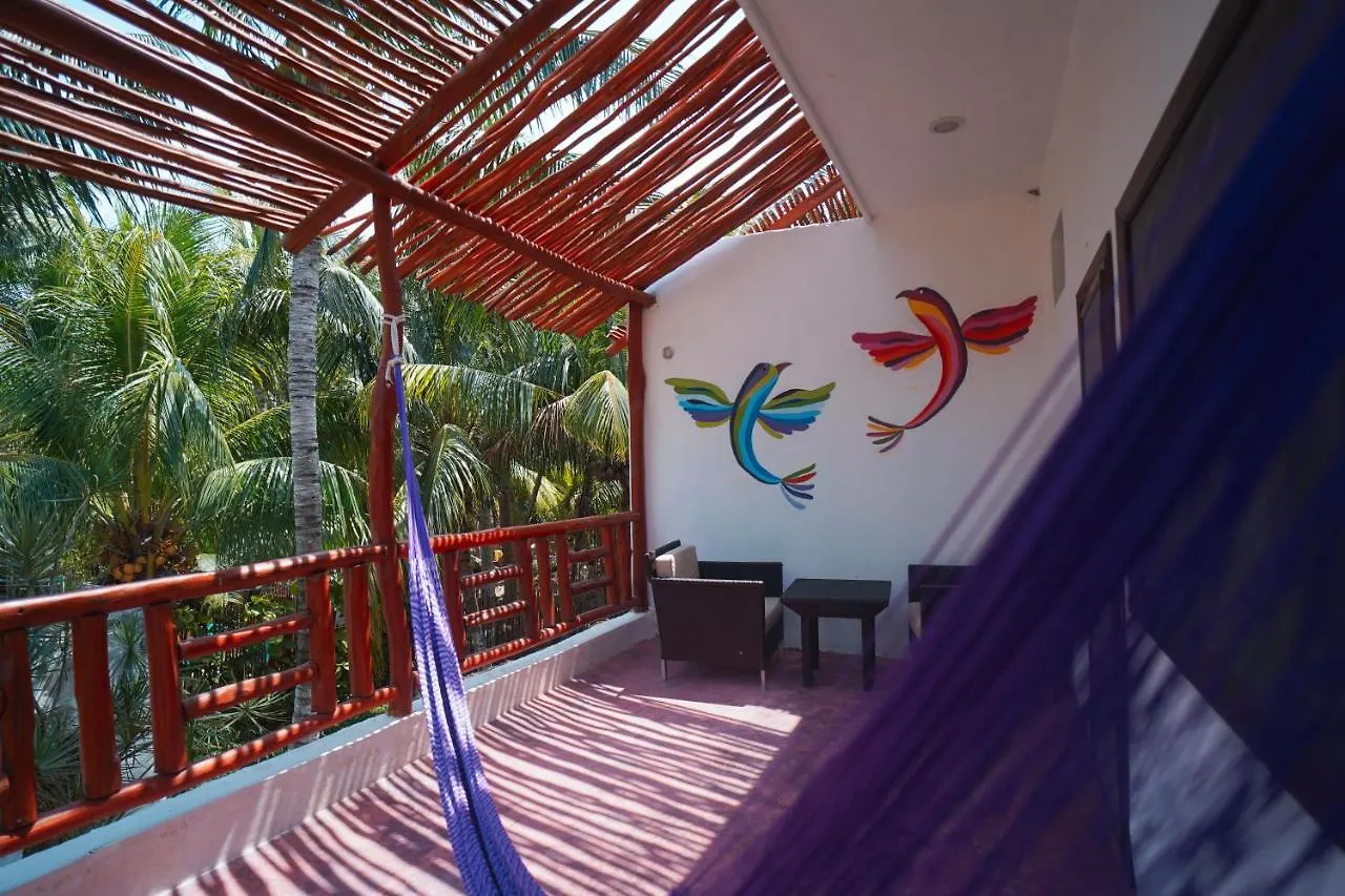 Golden Paradise Town Hotel Isla Holbox Mexico