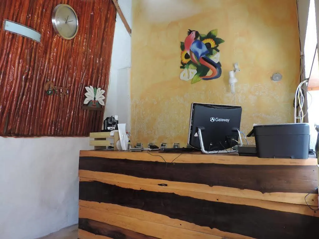 Golden Paradise Town Hotel Isla Holbox
